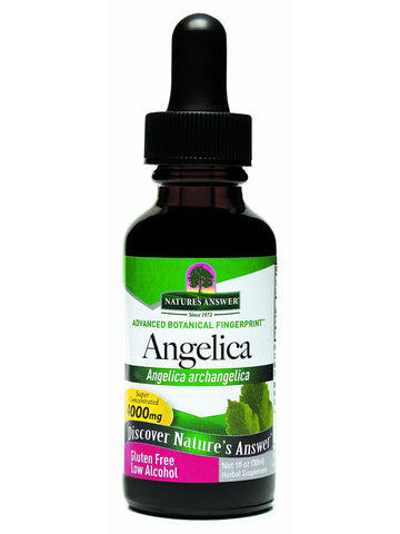 Angelica Root Extract, 1 oz, Nature's Answer