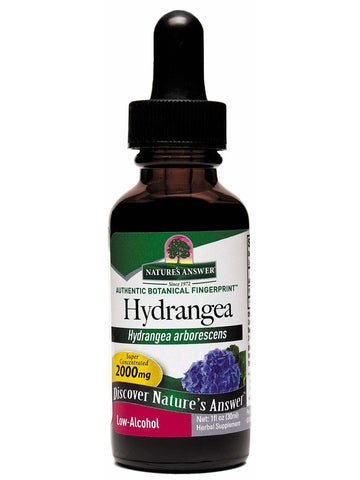 Hydrangea Root Extract, 1 oz, Nature's Answer