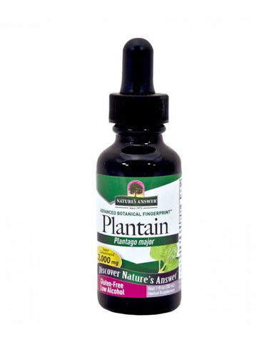 Plantain Leaves Extract, 1 oz, Nature's Answer