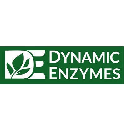 Dynamic Enzymes