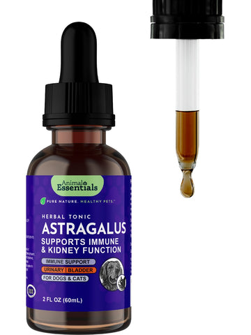 Animal Essentials, Astragalus, 2 fl oz