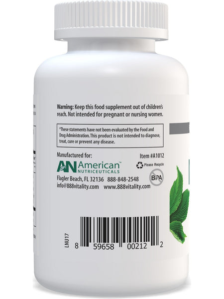American Nutriceuticals, Nutrizyme, 120 Enteric Coated Tablets