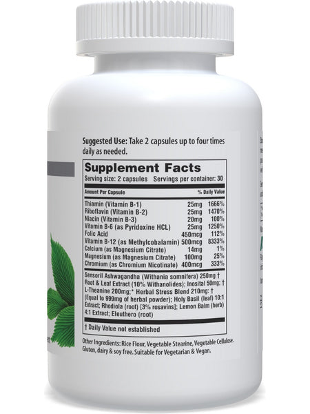 American Nutriceuticals, Stress Ease, 60 Vegetarian Capsules