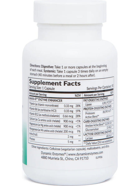 Dynamic Enzymes, Lipase Plus (Fat Digestion), 90 Vegetarian Capsules