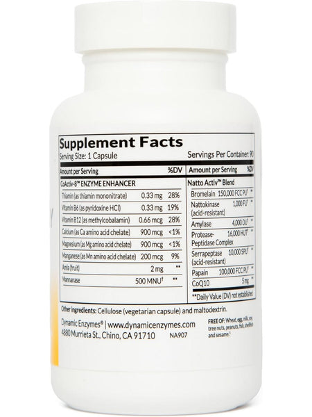 Dynamic Enzymes, Natto Activ (Circulatory Health), 90 Vegetarian Capsules