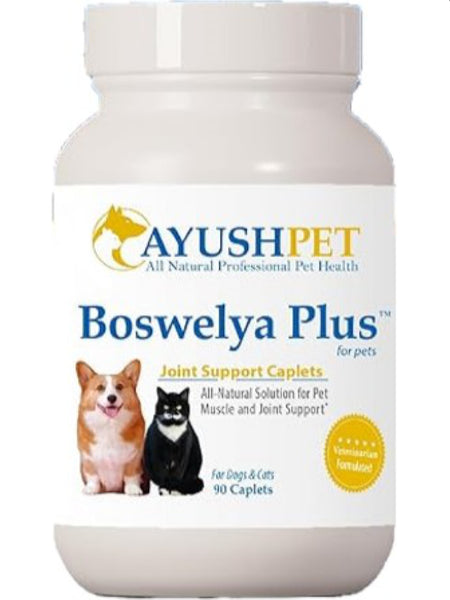 Ayush Herbs, Pet Boswelya Plus (Formerly Pet Paingon), 90 Caplets