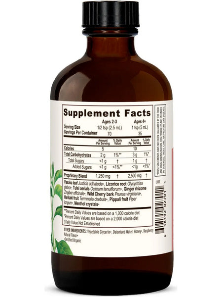 Banyan Botanicals, Bronchial Support, Herbal Syrup, 6 fl oz