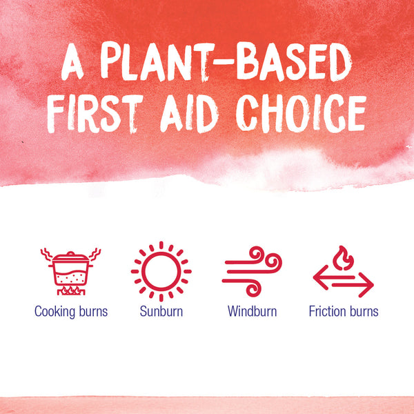 Boiron, Calendula Burn Ointment, 1 oz