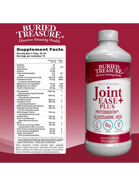 Buried Treasure, Joint Ease Plus Complete, 16.54 fl oz