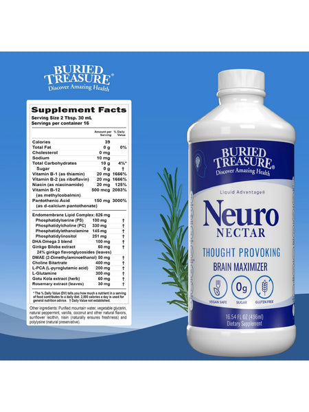 Buried Treasure, Neuro Nectar, 16.54 fl oz