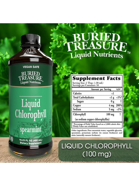 Buried Treasure, Liquid Chlorophyll, 16.23 fl oz