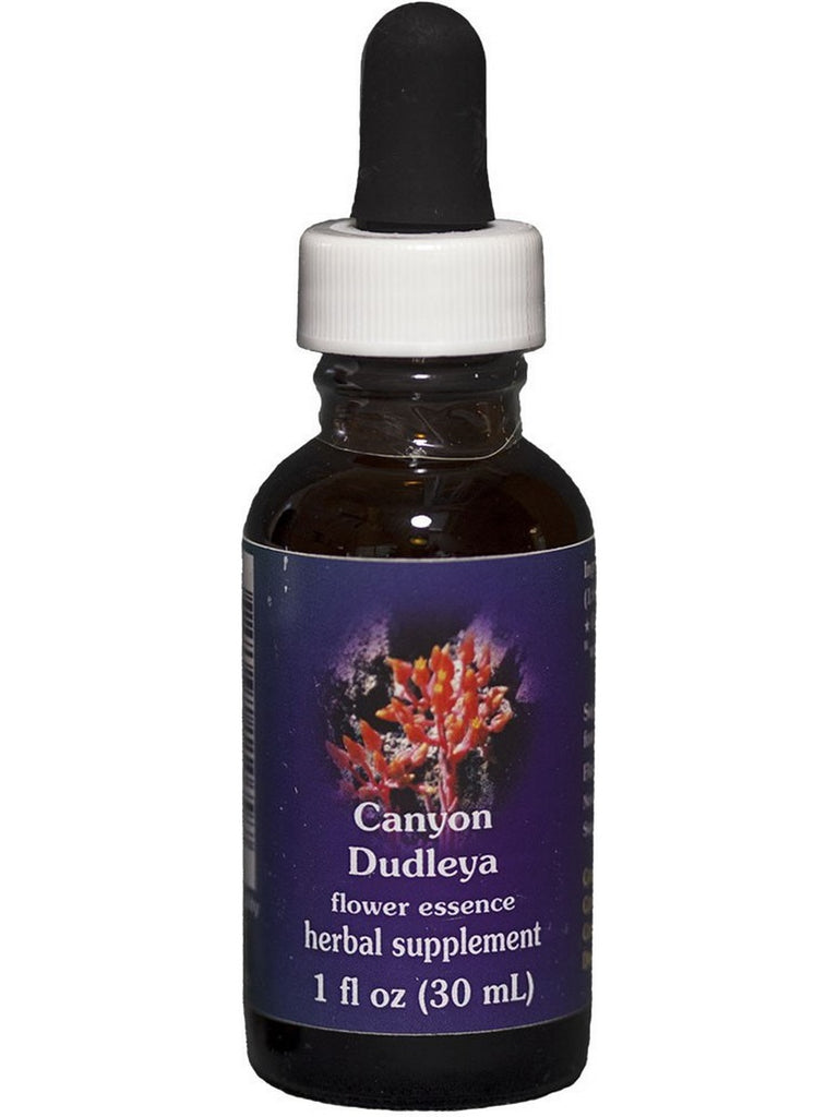 Flower Essence Services, Canyon Dudleya Dropper, 1 fl oz