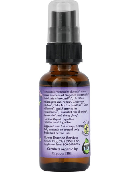 Flower Essence Services, Kinder Garden Spray Alcohol Free, 1 fl oz