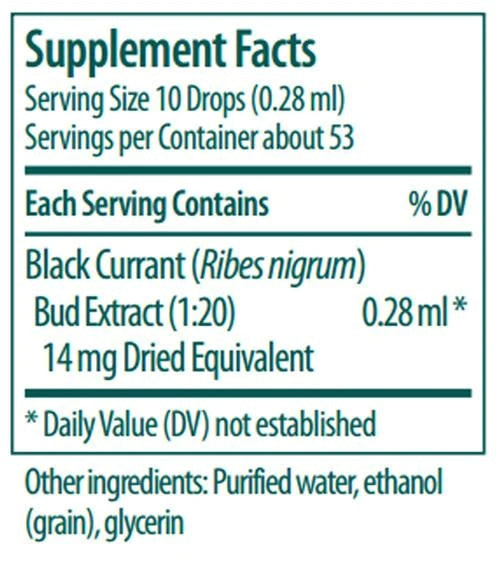 Genestra, PHYTO-GEN Black Currant Bud Dietary Supplement, 0.5 fl oz