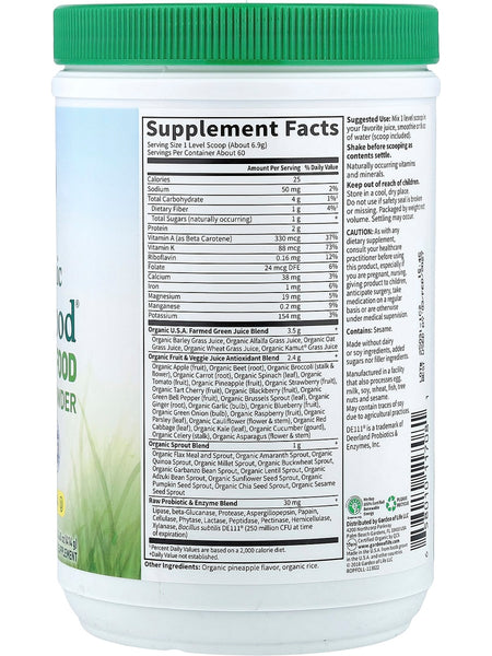 Garden of Life, Raw Organics, Perfect Food, Original, 14.60 oz