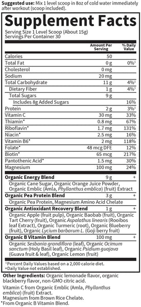 Garden of Life, Sport Organic Plant-Based Recovery, Blackberry Lemonade, 15.7 oz