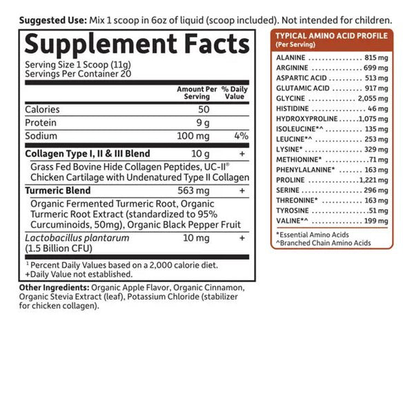 Garden of Life, Multi-Source Collagen Turmeric, Apple Cinnamon, 7.76 oz