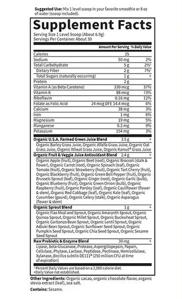 Garden of Life, Raw Organics, Perfect Food, Chocolate, 10.05 oz