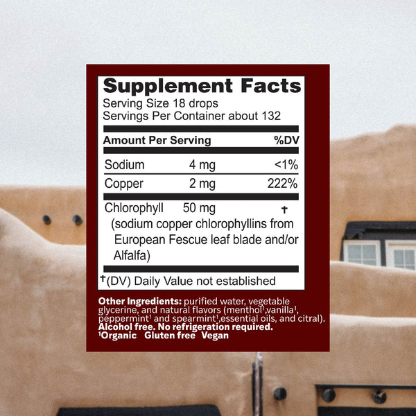 Herbs Etc., Alcohol Free ChlorOxygen Chlorophyll Concentrate, Mint Flavor, 2 Fluid Ounce