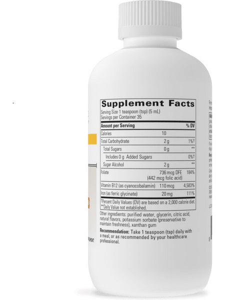 Integrative Therapeutics, Liquid Iron, Apple Cinnamon Flavored, 6 fl oz