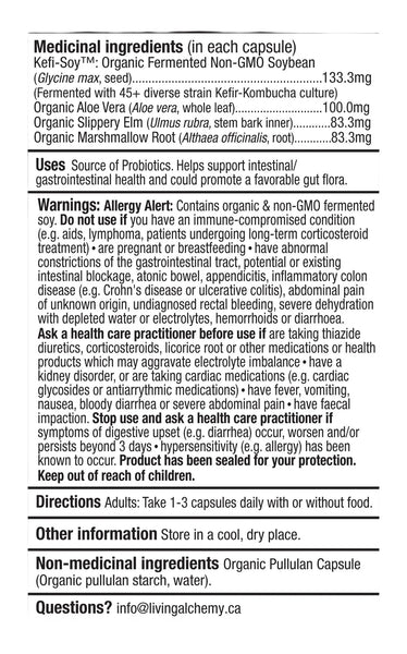 Living Alchemy, Your Flora Probiotic Terrain, 60 Vegan Capsules
