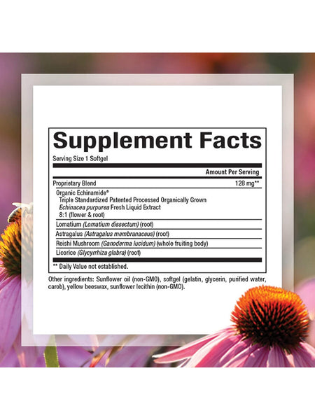 Natural Factors, Anti-V Formula with clinically proven ECHINAMIDE®, 60 Softgels
