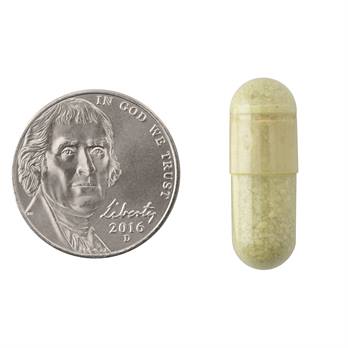 Natrol, Quercetin, 500mg plus Vitamin C & Citrus Bioflavonoids, 50 ct