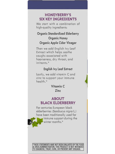 Nature's Way, Sambucus HoneyBerry Cough Syrup, 4 fl oz