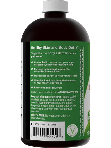 Nature's Way, Chlorofresh® Liquid (Mint Flavor), 16 fl oz