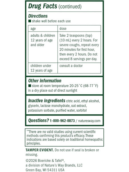 Boericke & Tafel, Cough & Bronchial Daytime Syrup, 8 fl oz
