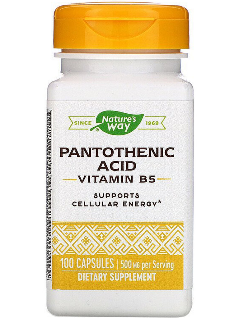 Nature's Way, Pantothenic Acid, 100 capsules