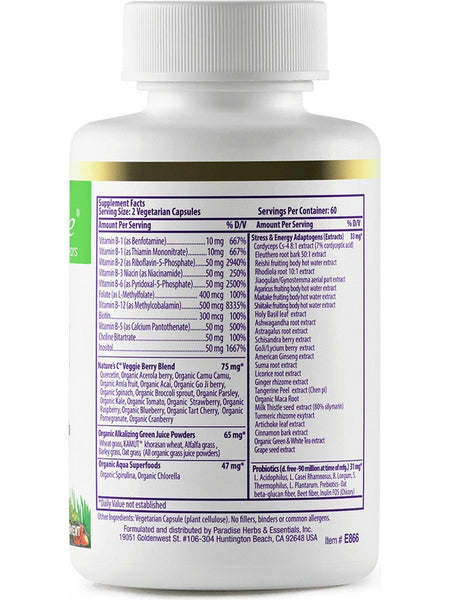 Paradise Herbs, Earth's Blend, B Complex, 60 vegetarian capsules