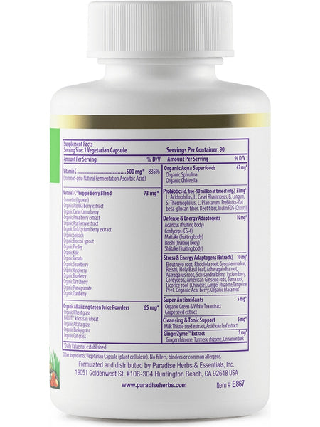 Paradise Herbs, Earth's Blend, Vitamin C, 500mg, 90 vegetarian capsules