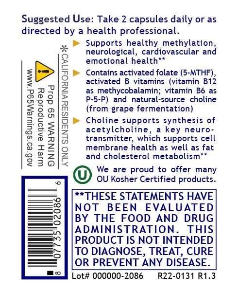 Premier Research Labs, Phyto Methylate, 60 Plant-Source Capsules
