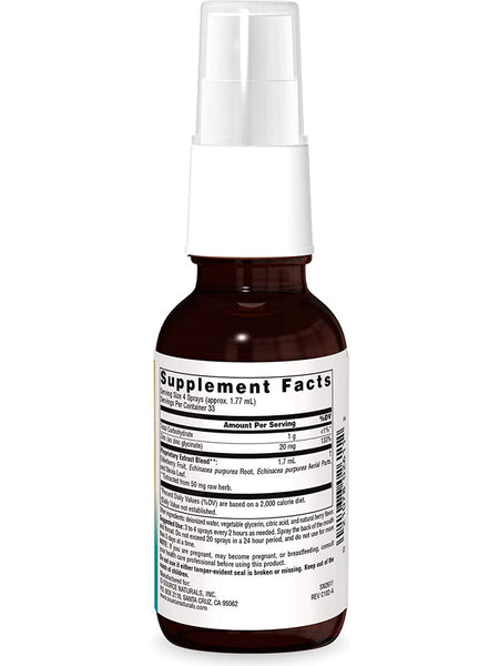 Source Naturals, Wellness Zinc Throat Spray™, Berry, 2 fl oz