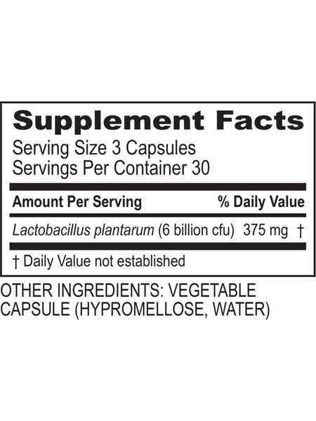 Transformation Enzymes, Plantadophilus, 90 Capsules