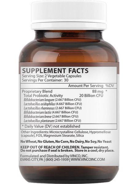 Vinco, ProBiotic Multi, 20 Billion CFU with 3% Prebiotic FOS, 60 Vegetable Capsules