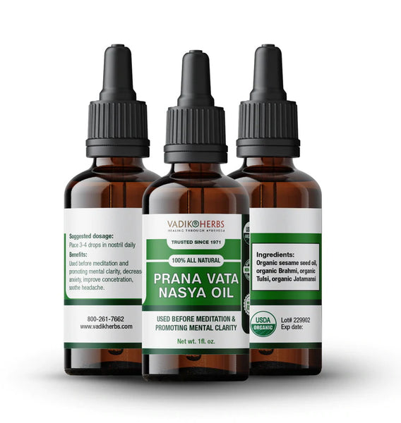 Vadik Herbs, Nasya Oil, Prana Vata   Mental Clarity, 1 fl oz