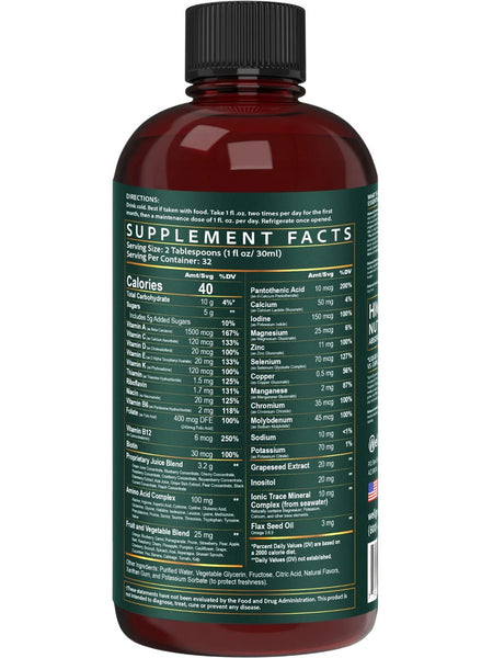 Wellgenix, Balanced Essentials Multi Vitamin, 32 fl oz