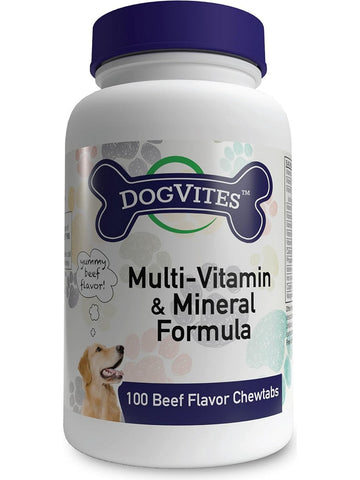 Health Thru Nutrition, Multi Vitamin & Mineral For Dogs, 100 Beef Flavor Chewtabs