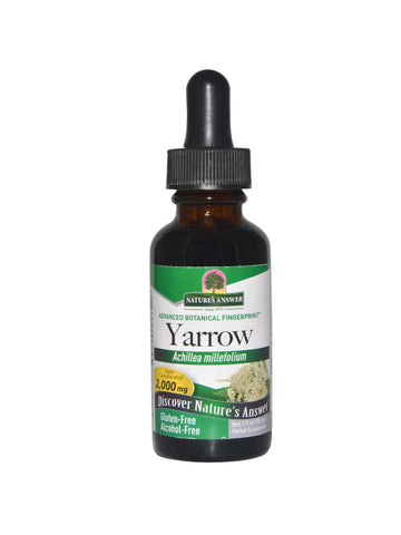 Yarrow Flowers Alcohol Free Extract, 1 oz, Nature's Answer