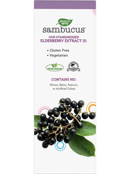 Nature's Way, Sambucus Immune Syrup for Kids, 8 fl oz