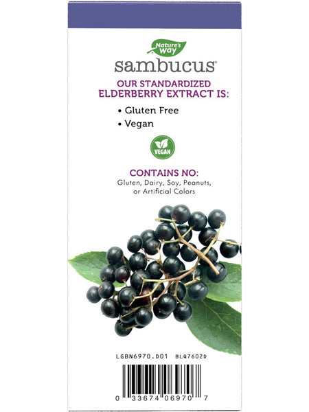 Nature's Way, Sambucus Syrup, 4 fl oz
